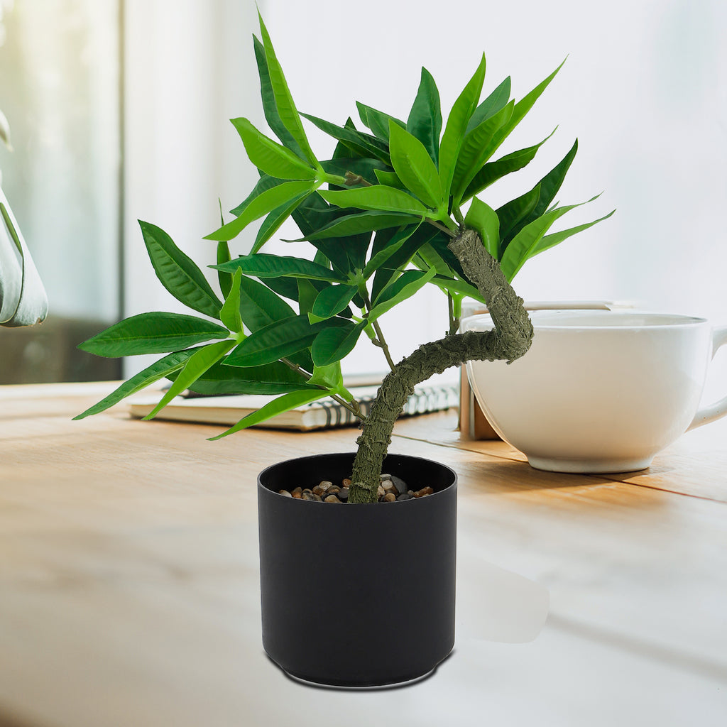 Realistic Artificial Wealth Tree Potted Plant, Faux Money Tree Greenery for Modern Office & Housewarming Gift