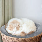 Soft Cozy Pet Throw for Canine Sleep Surfaces