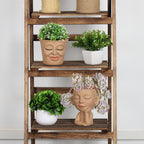 2-Pack Face Planter Pots with Drainage Hole - Cute Lady Head Succulent Pots for Indoor/Outdoor Decor