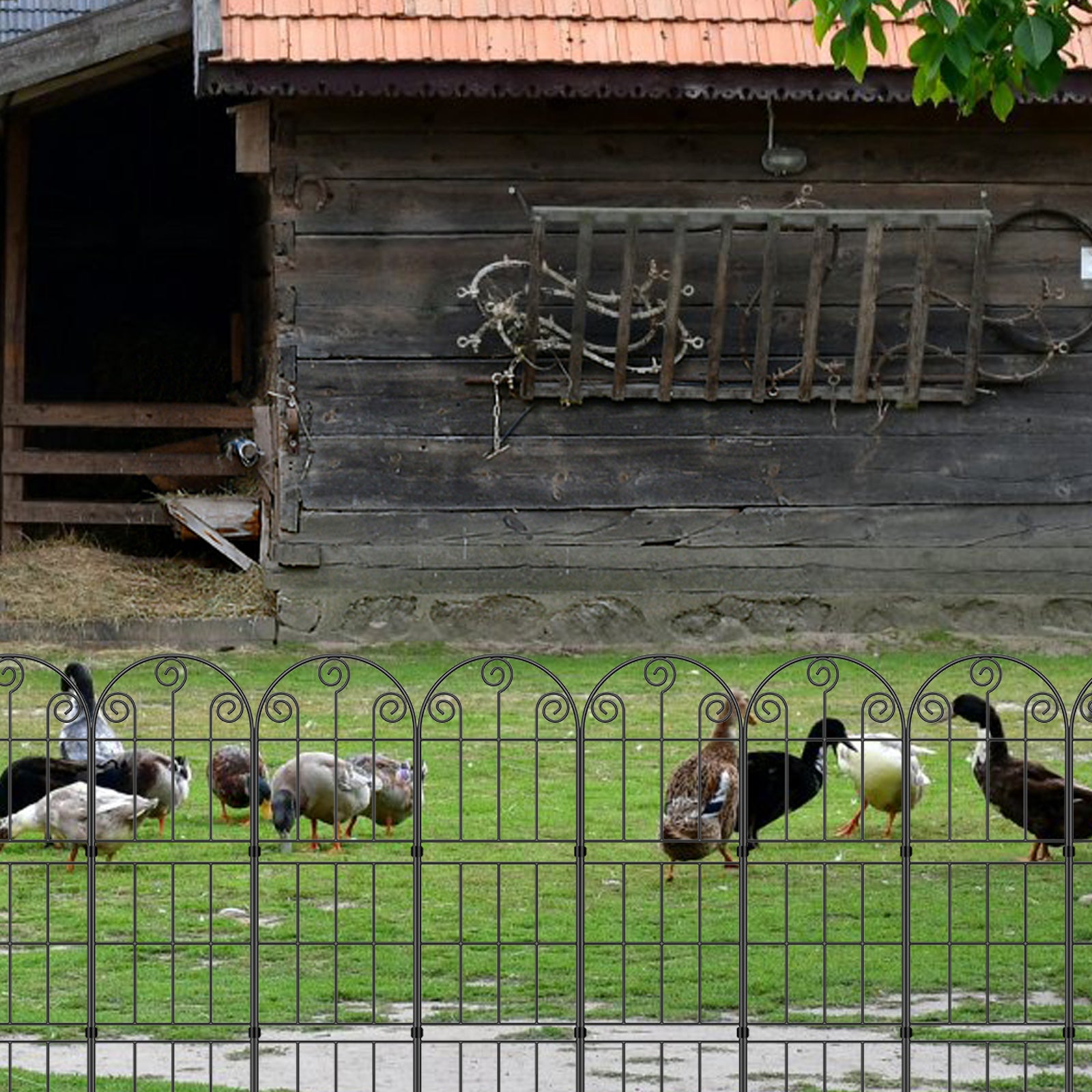 Scroll Top Garden Fence Panels - Double Rail Metal Border - Animal Barrier for Backyard & Garden,