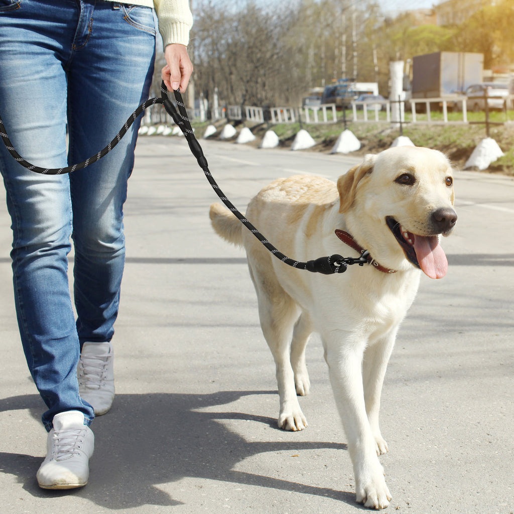 5FT Heavy Duty Dog Leash with Double Padded Handles, Reflective Nylon Rope Leash for Medium and Large Dogs, Walking and Training,
