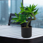 Realistic Artificial Wealth Tree Potted Plant, Faux Money Tree Greenery for Modern Office & Housewarming Gift