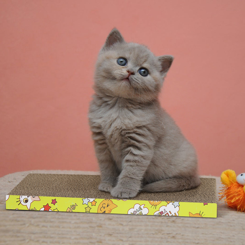 2-Pack Reversible Cat Scratcher Cardboard, Durable Corrugated Scratching Pad & Lounge for Cats