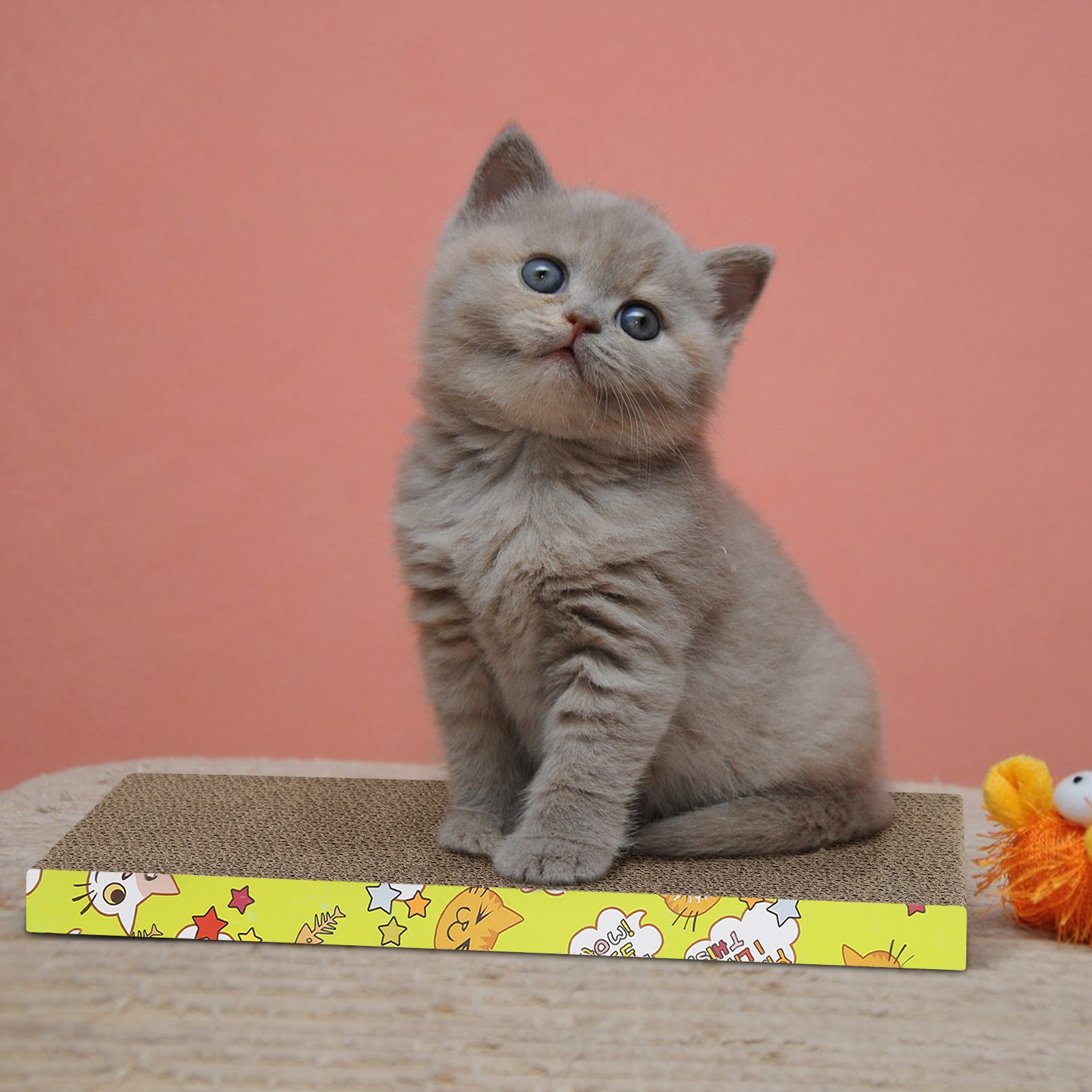 2-Pack Reversible Cat Scratcher Cardboard, Durable Corrugated Scratching Pad & Lounge for Cats