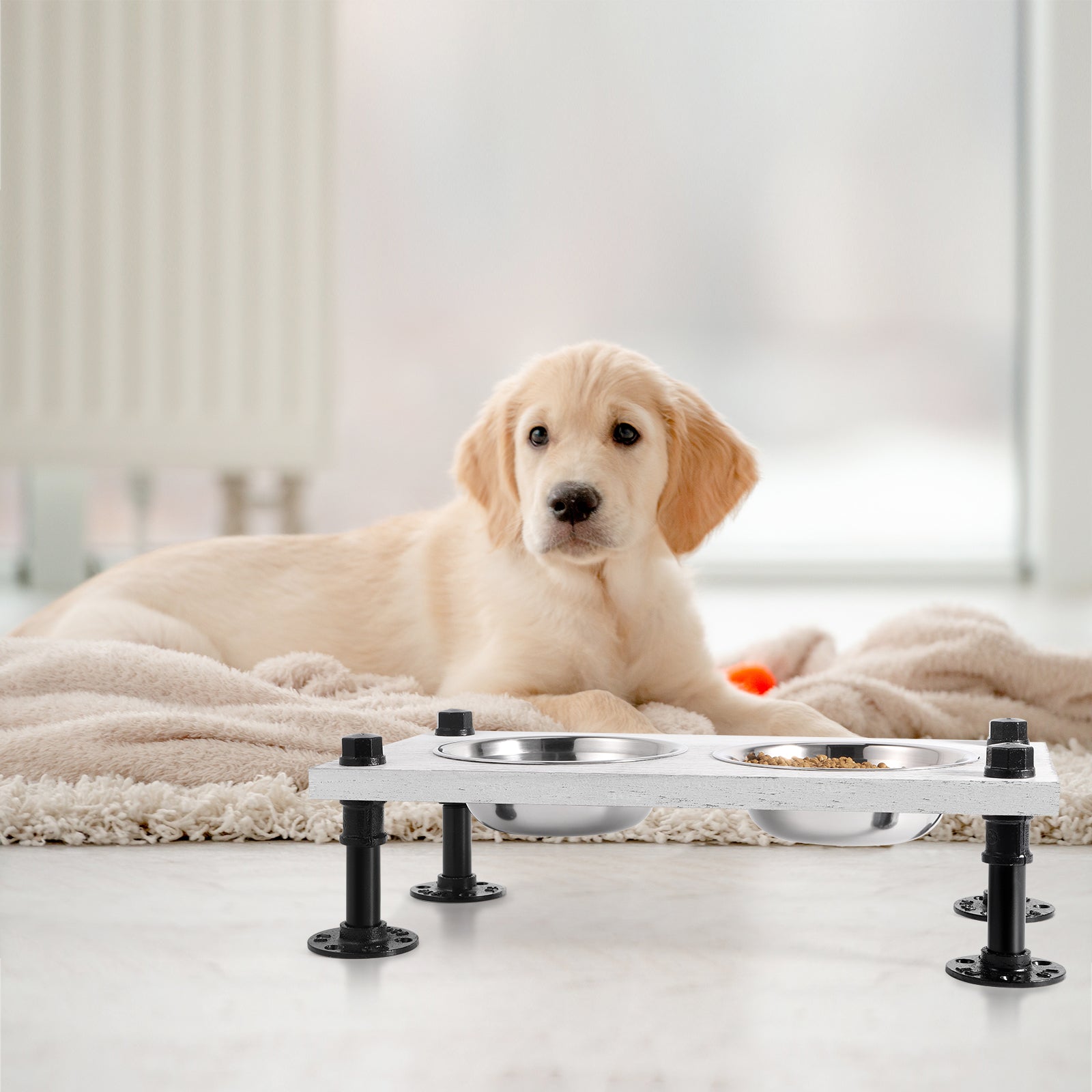 Elevated Dog Cat Bowls Raised Dog Cat Bowl Stand with 2 Removable Stainless Steel Bowls Small Dog Bowls Food and Water Bowl
