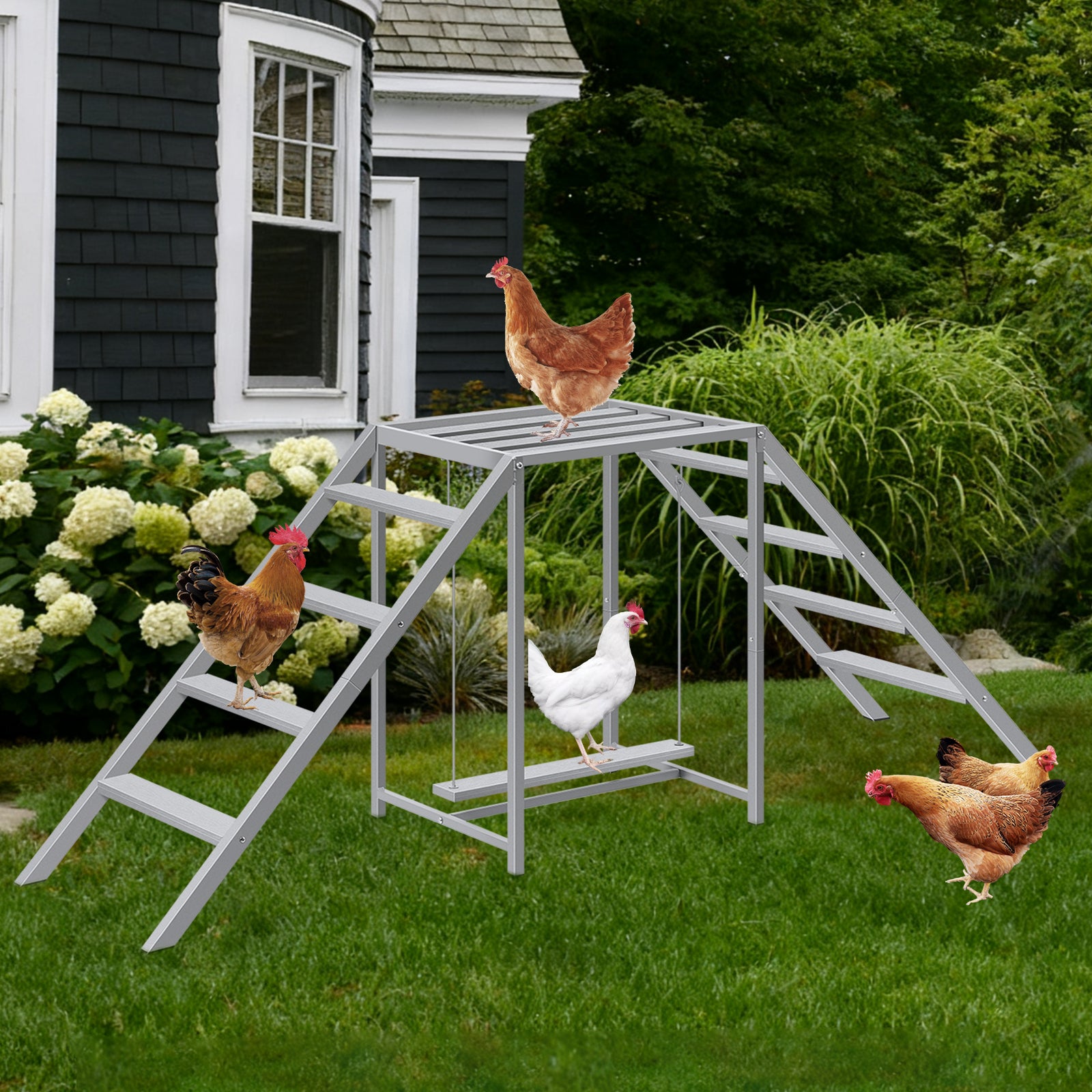 Wooden Chicken Roosting Bars & Perches with Swing - Coop Ladder & Activity Toy for Poultry