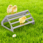 Chick Perch Stand, 2 Pack Large & Small Metal Roosting Bar for Brooder Coop, Chicken Jungle Gym Toy for Baby Chicks & Birds