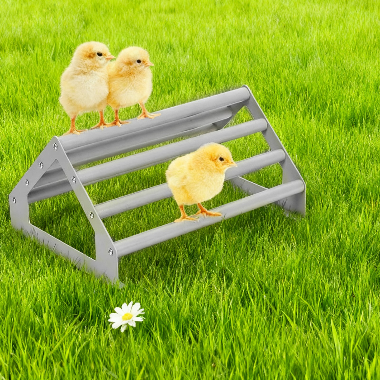 Chick Perch Stand, 2 Pack Large & Small Metal Roosting Bar for Brooder Coop, Chicken Jungle Gym Toy for Baby Chicks & Birds