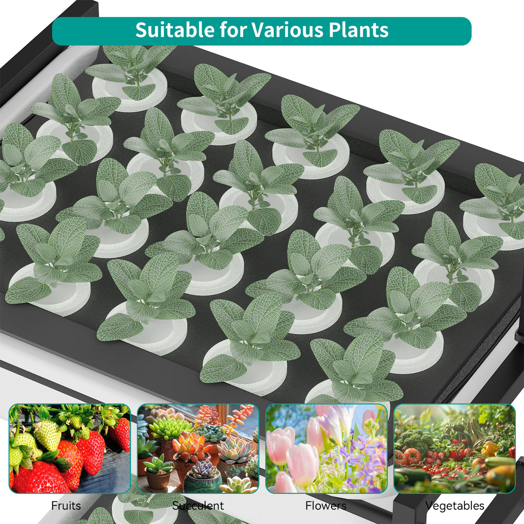 3-Tier Indoor Hydroponic Growing System with Integrated LED Cultivation Lamps