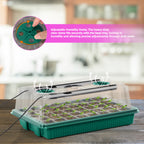 Seed Starter Tray with Grow Light, 2pcs 80 Cells Seedling Tray Kit with Humidity Hood and Drainage Hole, Adjustable Light & Timing, Perfect for Indoor Seed Cultivation