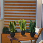 3-Piece Set Green Artificial Potted Plants, Faux Plastic Home Decor for Weddings Hotels Gardens & Photography
