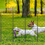 10-Pack Square Decorative Garden Fence - 37.5inch High Rustproof Metal Animal Barrier - Outdoor Garden Edging & Boundary Fencing for Dogs & Rabbits
