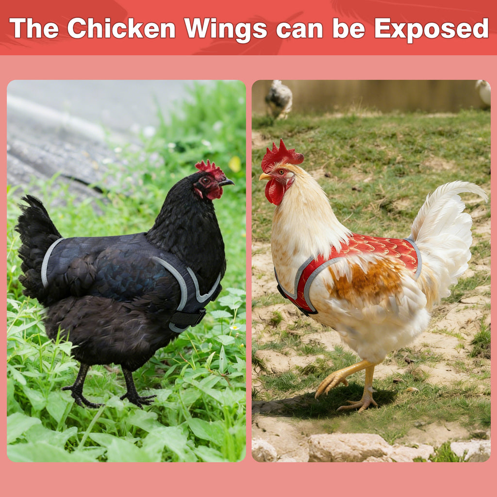 Waterproof Oxford Chicken Saddle Aprons 3 Colors Set, Adjustable Hen Wing Protector Jacket, Reusable Poultry Back Guard to Avoid Feather Damage, for Backyard Chicken Coop Hens Roosters