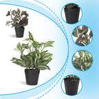 2-Pack Artificial Potted Plants, Mini Plastic Faux Flower Greenery for Living Room Bedroom Office & Desktop Decoration