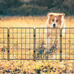 10-Pack Decorative Garden Fence, 24inch H Animal Barrier Metal Wire Fencing for Yard & Flower Beds
