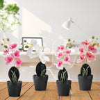 4-Pack Mini Artificial Orchid Potted Flowers, Phalaenopsis Faux Silk Floral Decor for Office Desk & Wedding Table