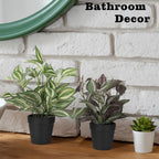 2-Pack Artificial Potted Plants, Mini Plastic Faux Flower Greenery for Living Room Bedroom Office & Desktop Decoration