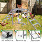 Wooden Chicken Roosting Bars & Perches with Swing - Coop Ladder & Activity Toy for Poultry