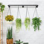 4-Piece Wall-Mounted Hanging Plant Rack with Chains