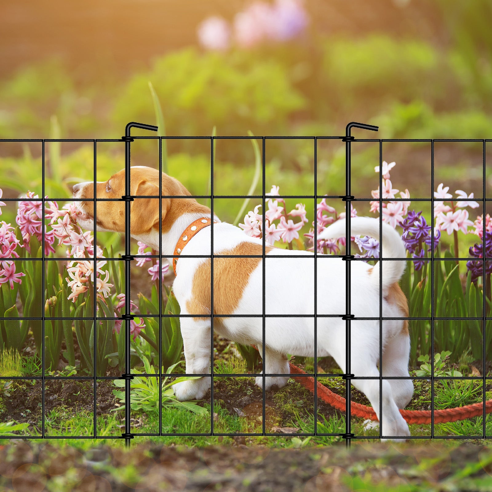10pcs, 19pcs, Lattice Type Ultra-high Fence, Decorative Garden Fence, Dog Rabbit Border Black Metal Plate Ground Pile Fence, for Outdoor, Courtyard, Garden