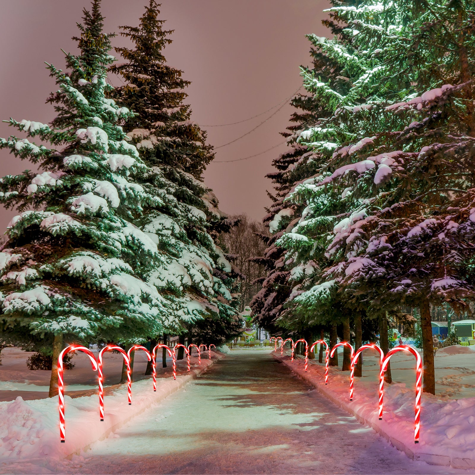 10 Pack 21" Candy Cane Lights Outdoor Pathway Markers - 60 LED Xmas Walkway Decorations w/ Stake
