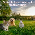Strawberry Print Pet Dress with 2 Pack Adjustable Cat Collars with Bell, Cute Ruffle Bow Pet Clothes for Small Medium Cats, Kitten Girl Outfit, Soft Lightweight Puppy Costume for Daily Party Wear
