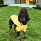 Waterproof Canary Yellow Pet Slicker with Adjustable Hood and Breathable Mesh Lining for Small Canines