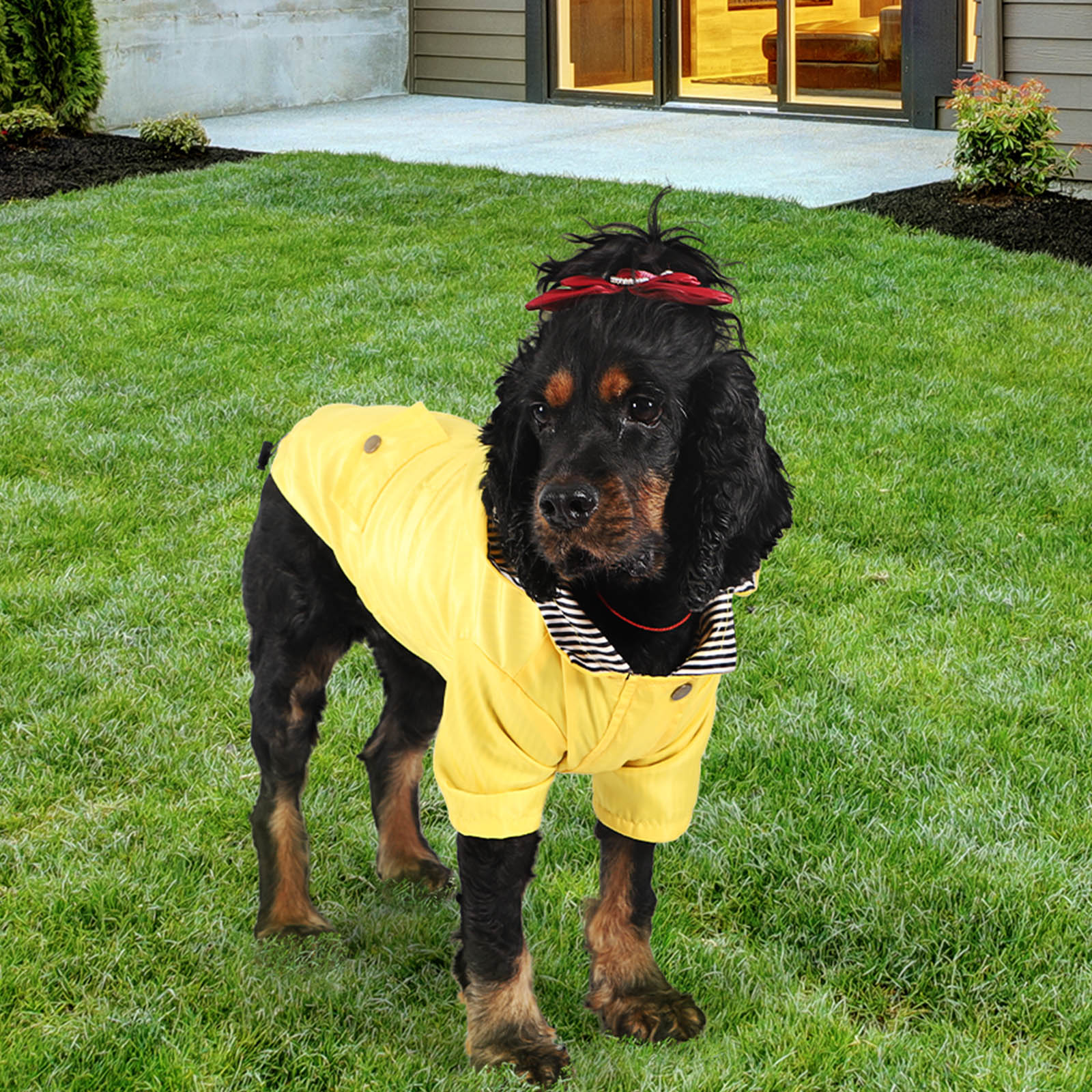 Waterproof Canary Yellow Pet Slicker with Adjustable Hood and Breathable Mesh Lining for Small Canines