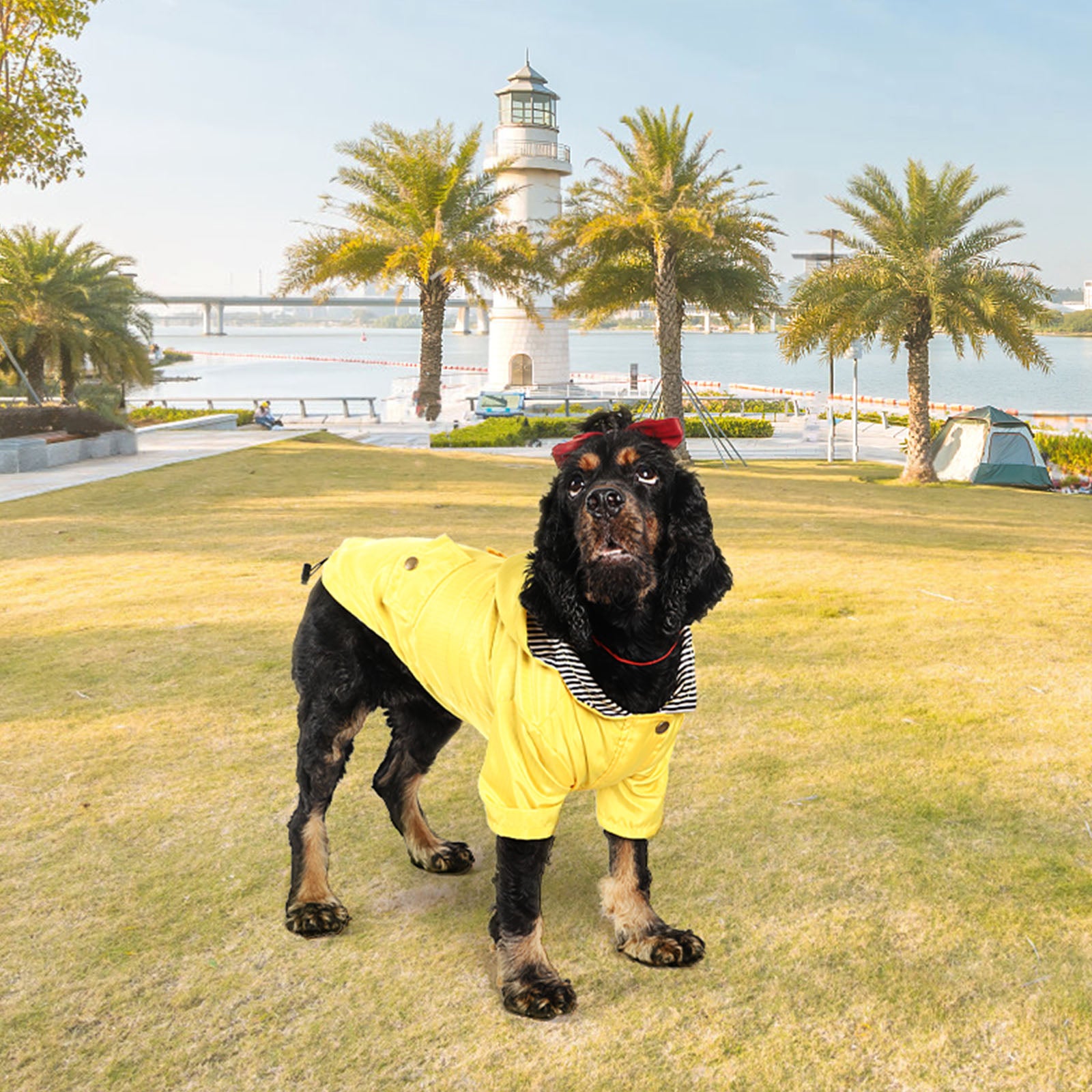Waterproof Canary Yellow Pet Slicker with Adjustable Hood and Breathable Mesh Lining for Small Canines