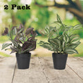 2-Pack Artificial Potted Plants, Mini Plastic Faux Flower Greenery for Living Room Bedroom Office & Desktop Decoration