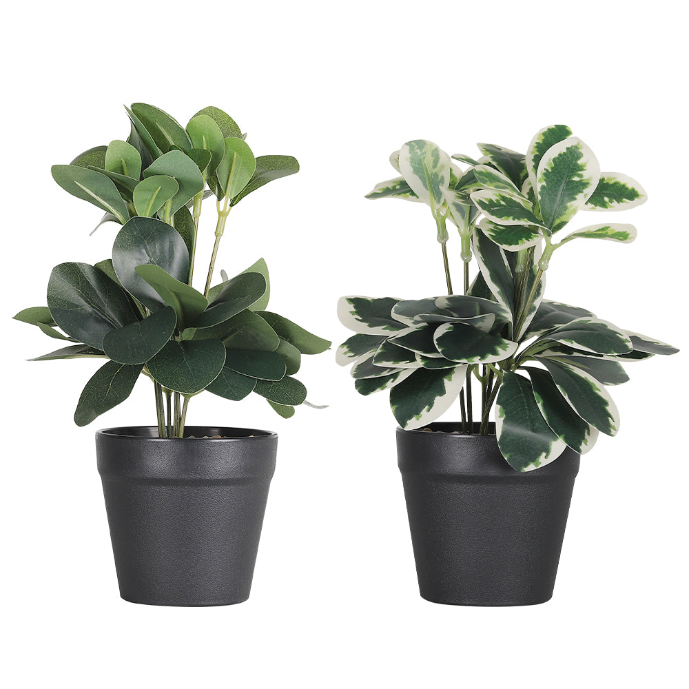 2-Pack Artificial Potted Plants, Mini Plastic Faux Flower Greenery for Living Room Bedroom Office & Desktop Decoration
