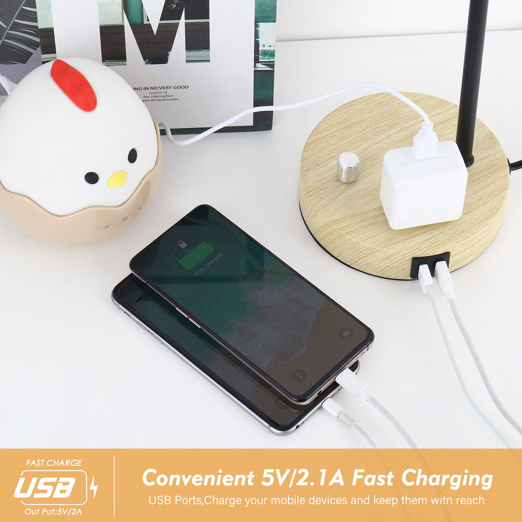 Industrial Pipe USB Desk Lamp with Wood Base， Retro Bedside Lamp with 2 USB Ports and AC Outlet.