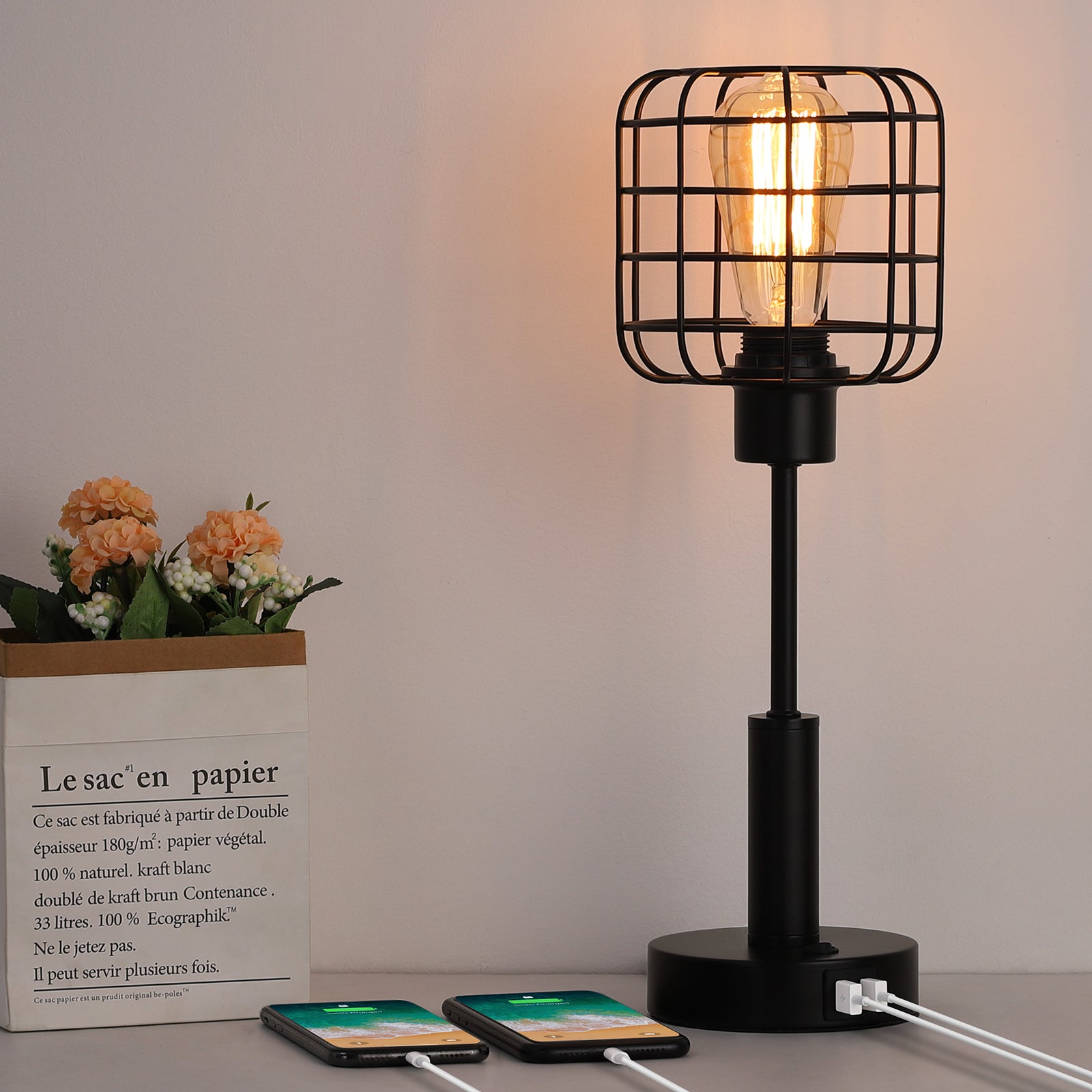 USB Powered Vintage Wire Cage Night Light for Bedroom, Modern Industrial Desk Lamp for Office and Living Room