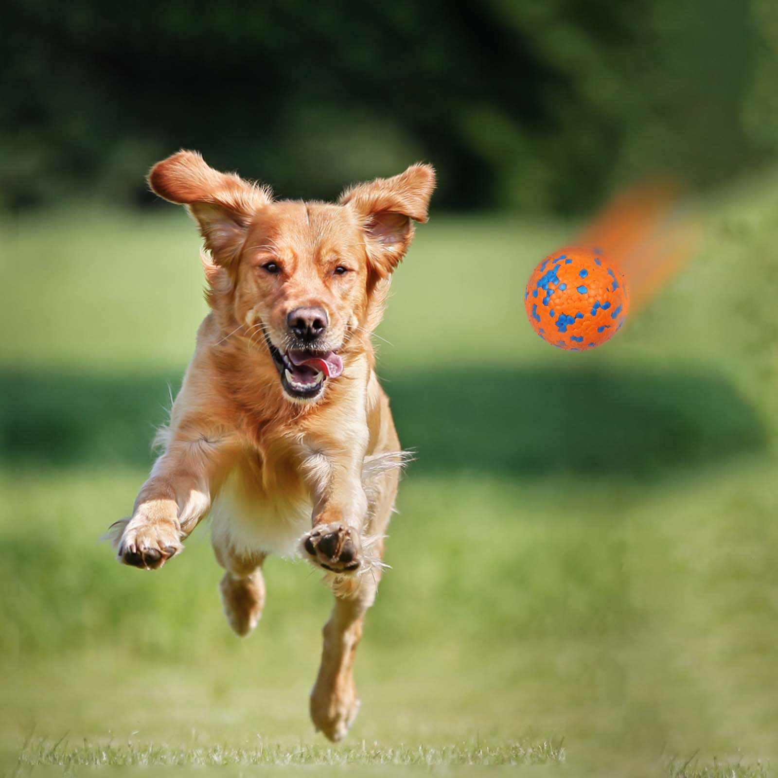 Dog Balls for Aggressive Chewers - High Elasticity Rubber Fetch Toy for Large/Medium Dogs