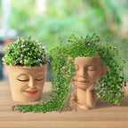 2-Pack Face Planter Pots with Drainage Hole - Cute Lady Head Succulent Pots for Indoor/Outdoor Decor