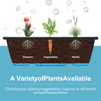 3-Tier Vertical Raised Garden Bed - Elevated Planter Box for Herbs & Flowers with Drainage System & Removable Trays for Patio, Balcony & Porch