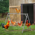 Chicken Perch & Swing Set - Durable Chicken Roosting Bars for Coop Accessories & Activity Play Toys